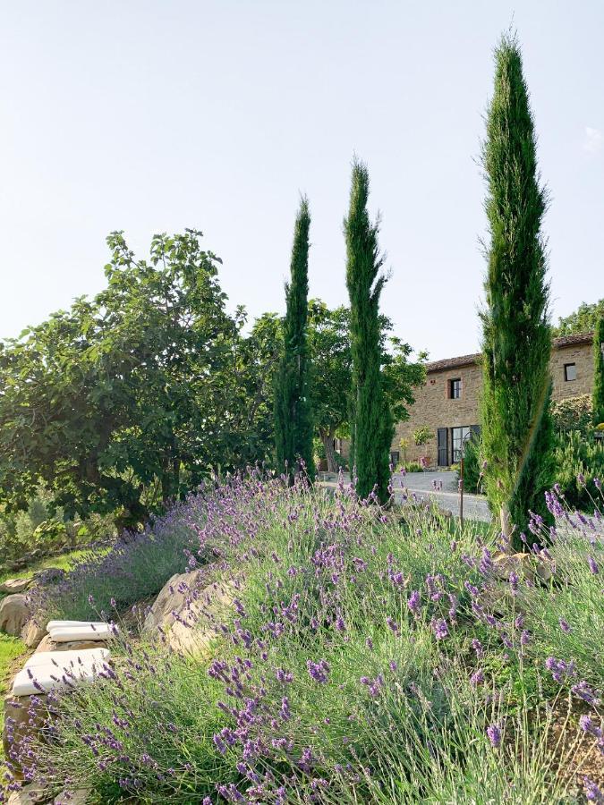 Villa Montanare Кортона Экстерьер фото