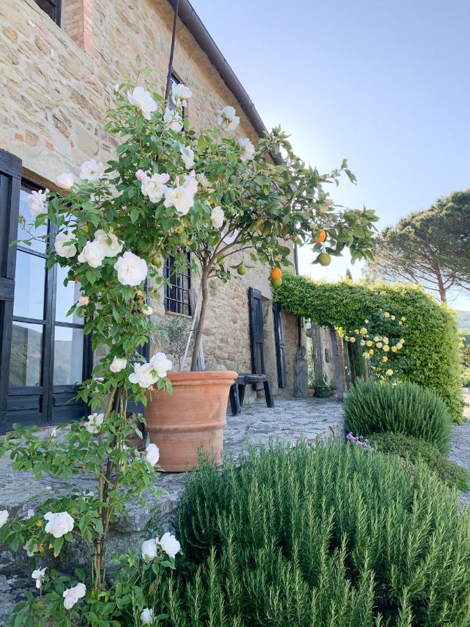 Villa Montanare Кортона Экстерьер фото